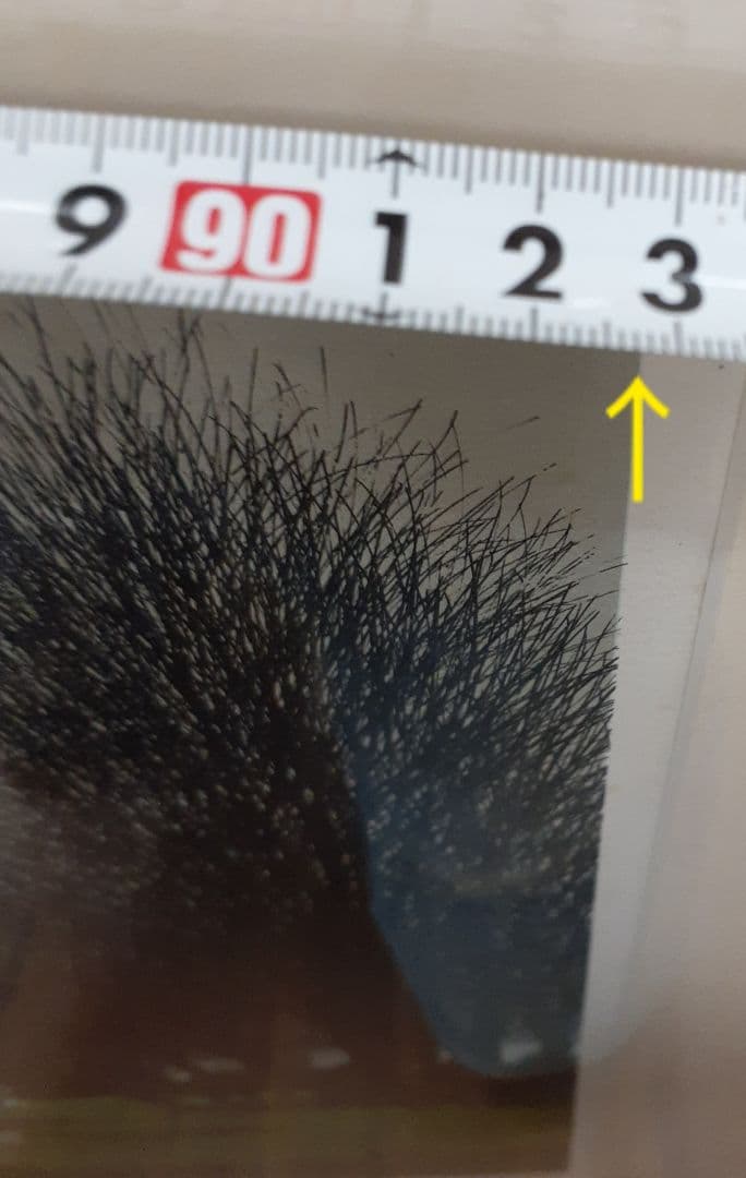 JACQUES DEPERTHES-ジャック・デペルトゴルフ絵画！35/40！