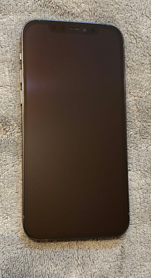 Apple iPhone 12 256GB ブラック 美品