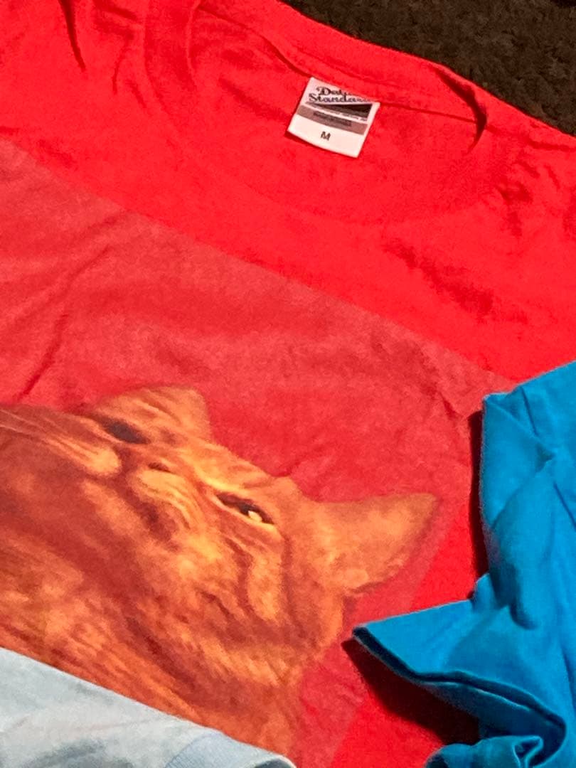 ろんげろさん　専用　 スピッツ　Tシャツ 3枚セット