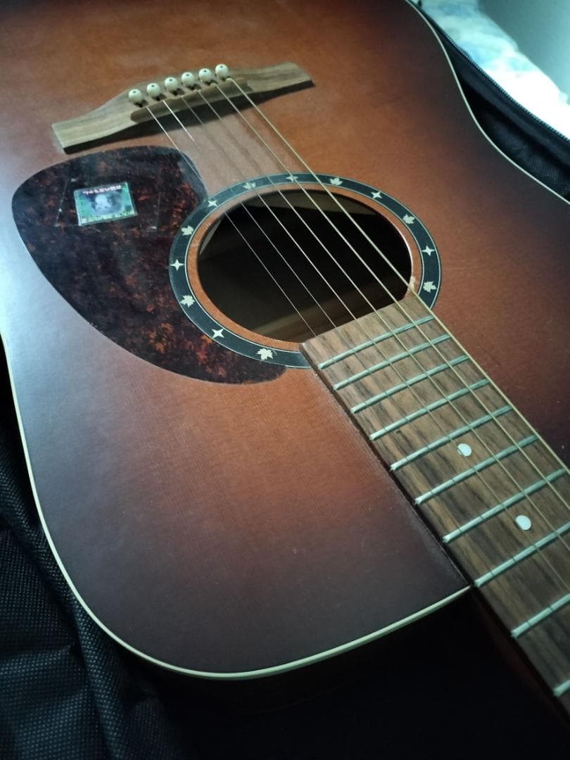 Norman b18 cedar アコースティックギター