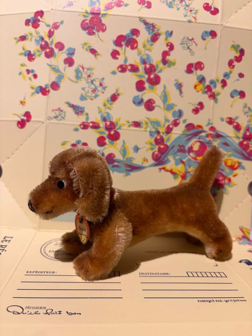 ベルリン購入　超美品シュタイフ 1950年代のダックスフンド　グラスアイ