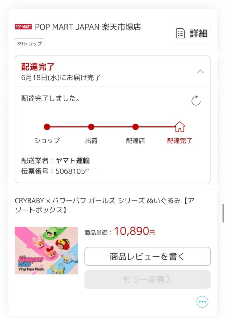 ぬいぐるみ CRYBABY Wild but Cutie + PowerPuff Girl