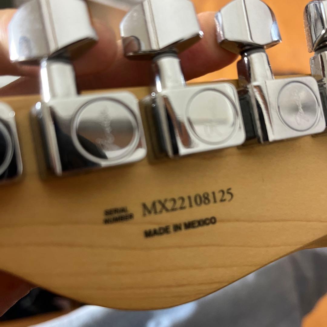 フェンダー テレキャスター Player series ブルー