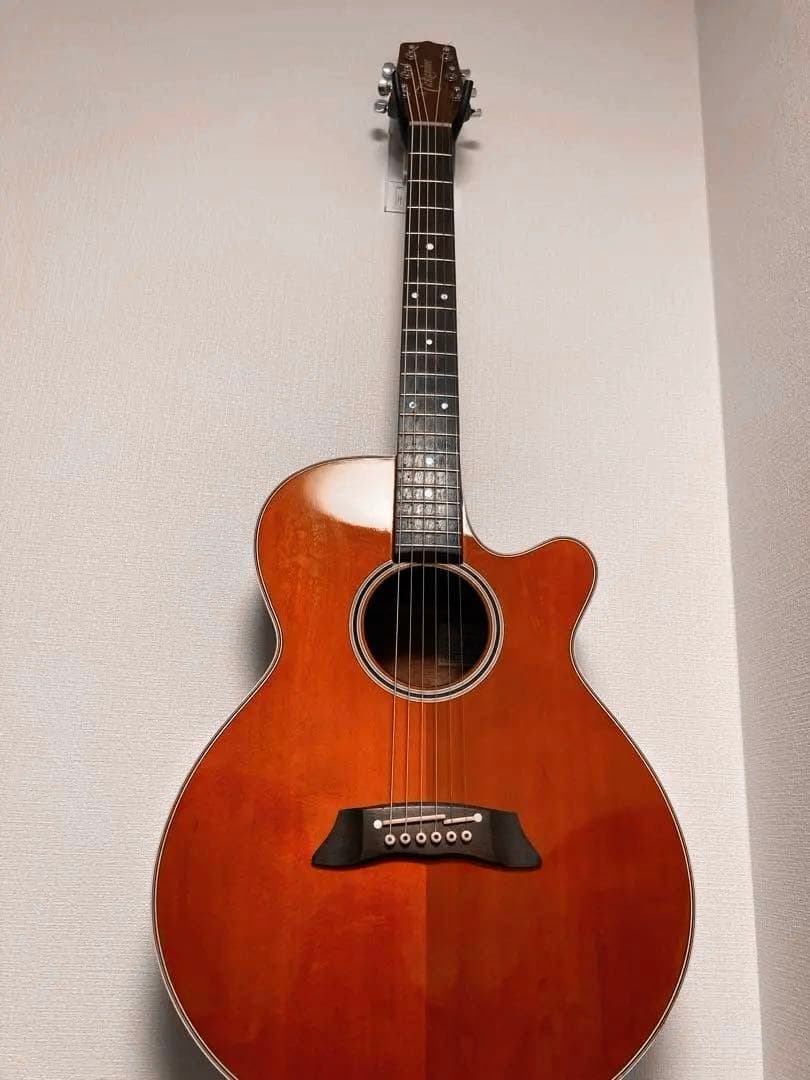 Takamine エレアコ　ギター　タカミネ純正ケース付き