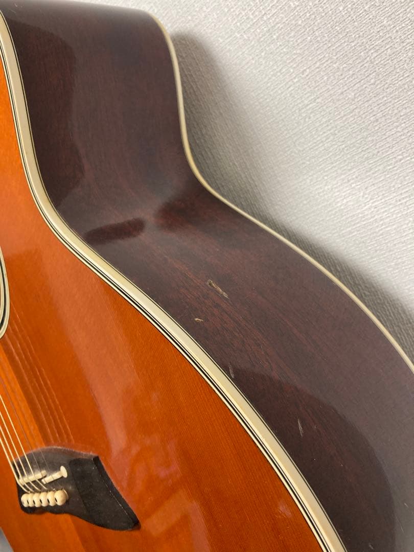 Takamine エレアコ　ギター　タカミネ純正ケース付き