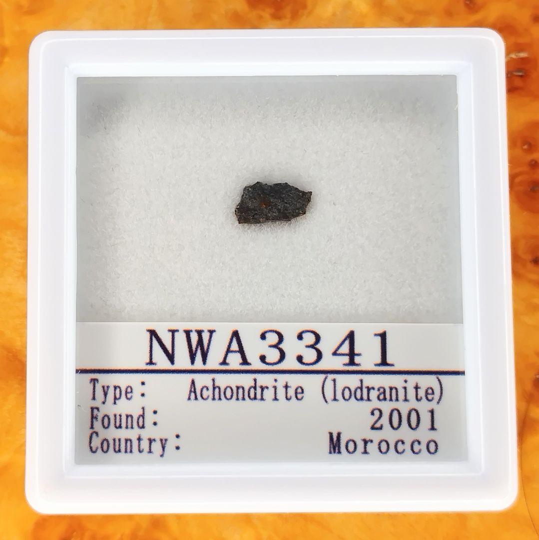 ✨️マクロレア！ロードラナイト✨NWA3341原始的無球粒隕石