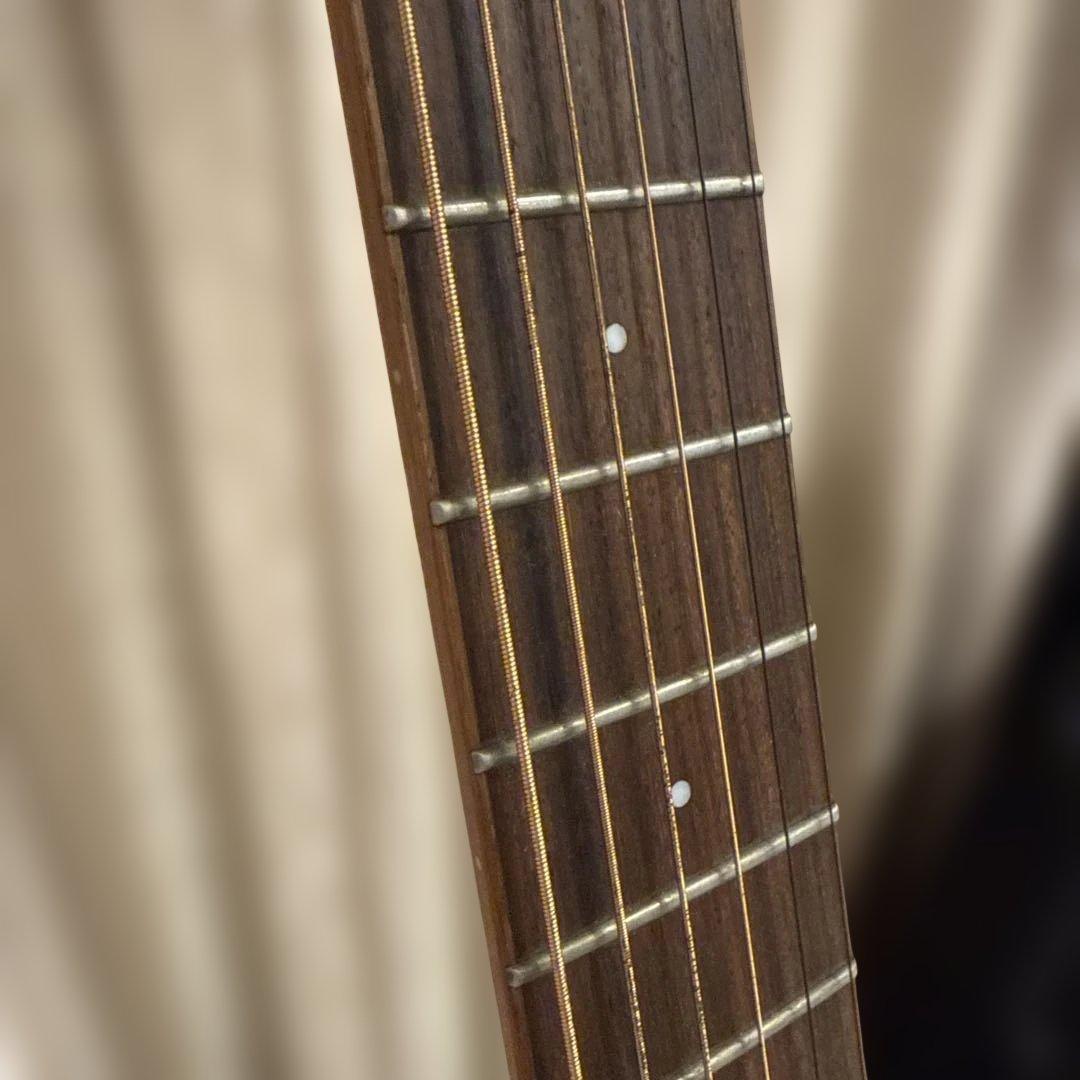 anuenue bird guitar ann－m2