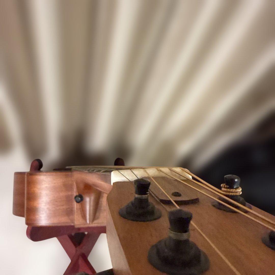 anuenue bird guitar ann－m2