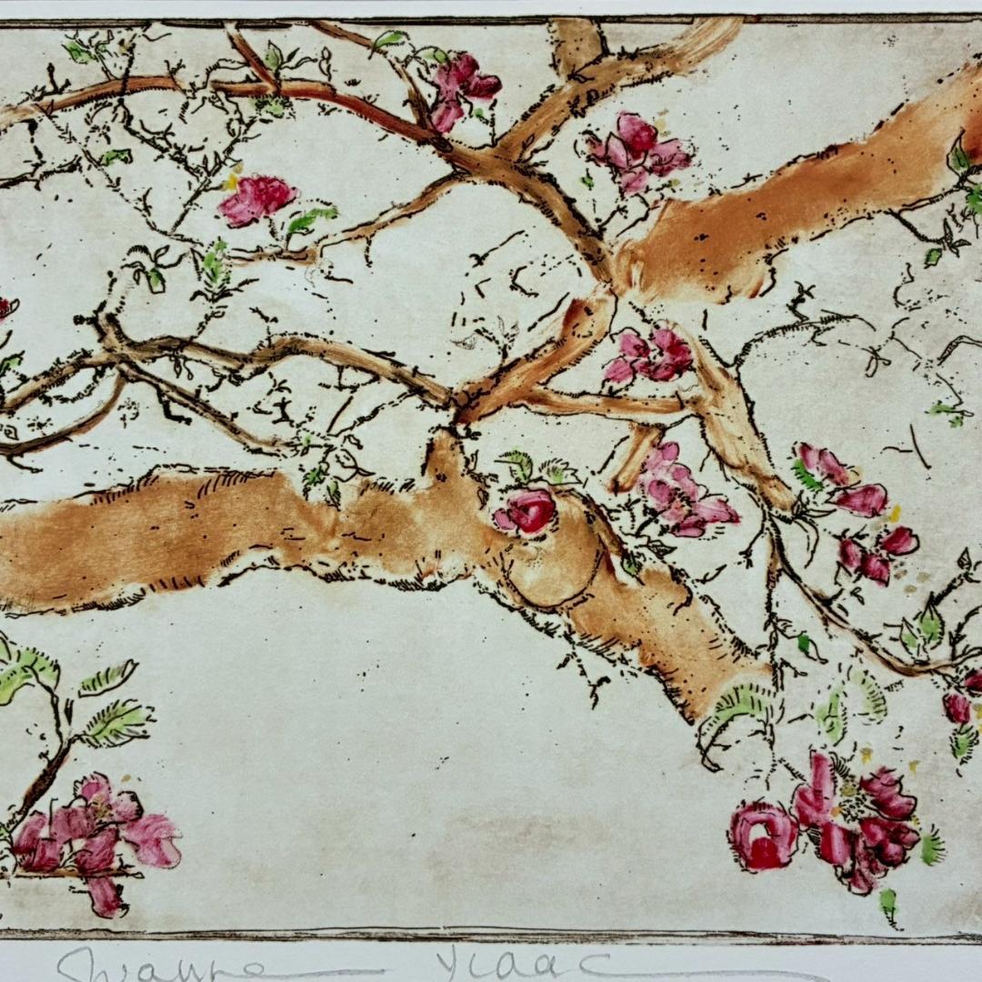 美品 ジョアン・アイザック「Apple～/林檎の花」ジクレー サイン・保証書有