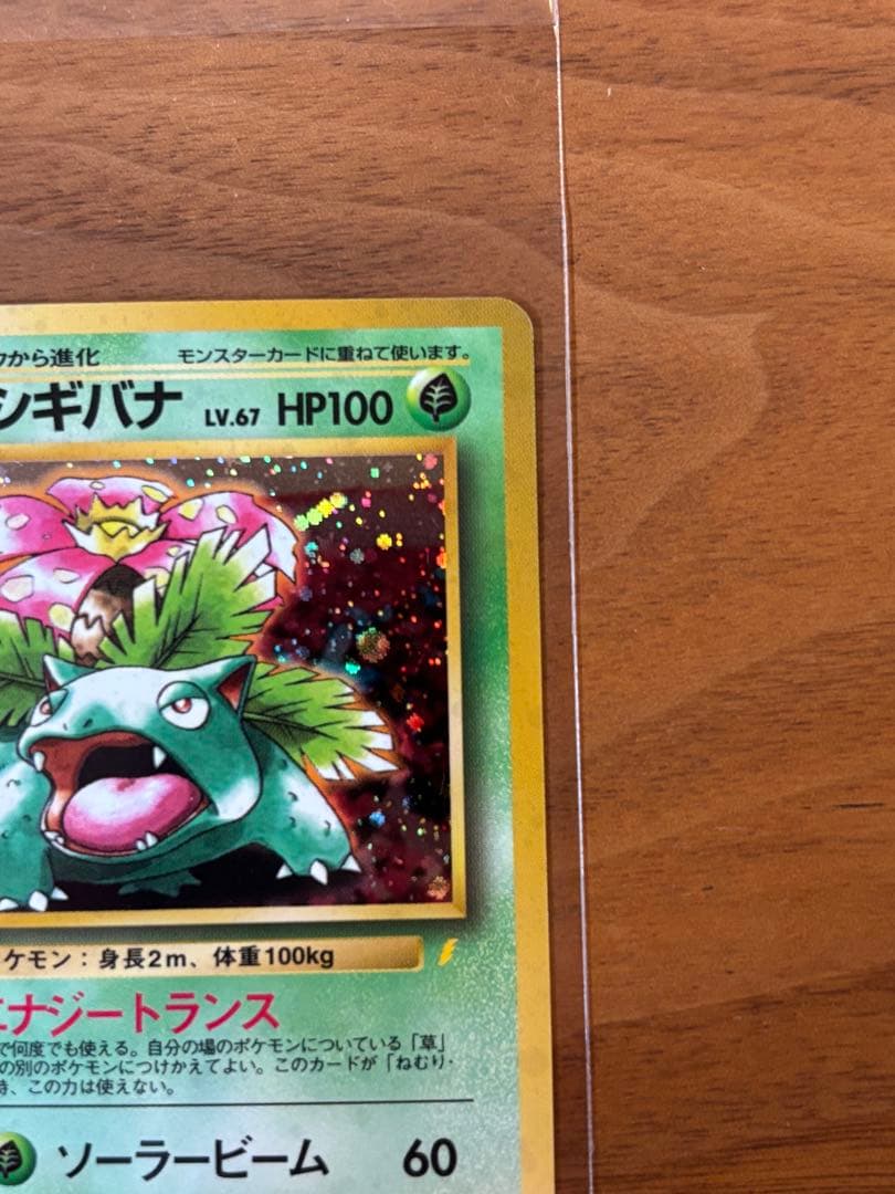 【極美品】フシギバナ_「とりかえっこプリーズ」 キャンペーンカード PROMO