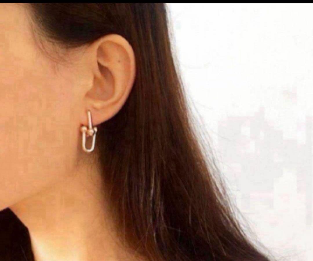 至高✨ハイクオリティ✨ハードウェア　シルバー　ミニ　ピアス