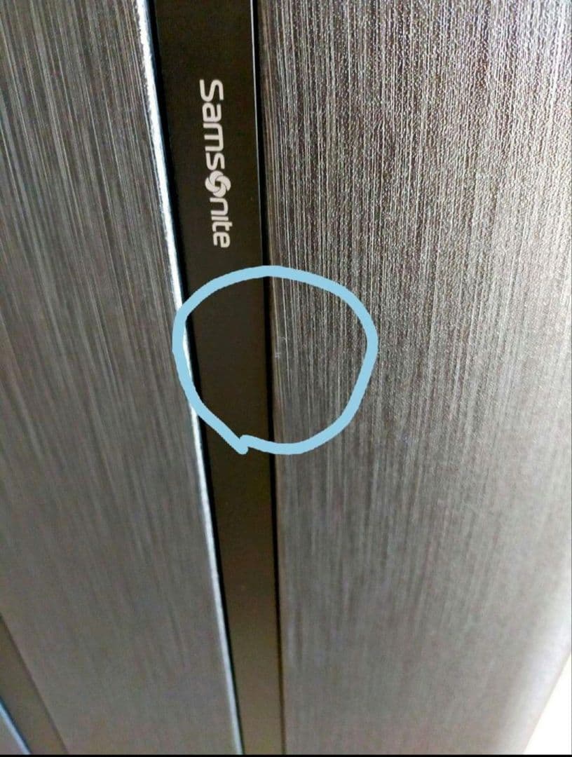 スーツケース サムソナイト エヴォア スピナー 69/25 エキスパンダブル