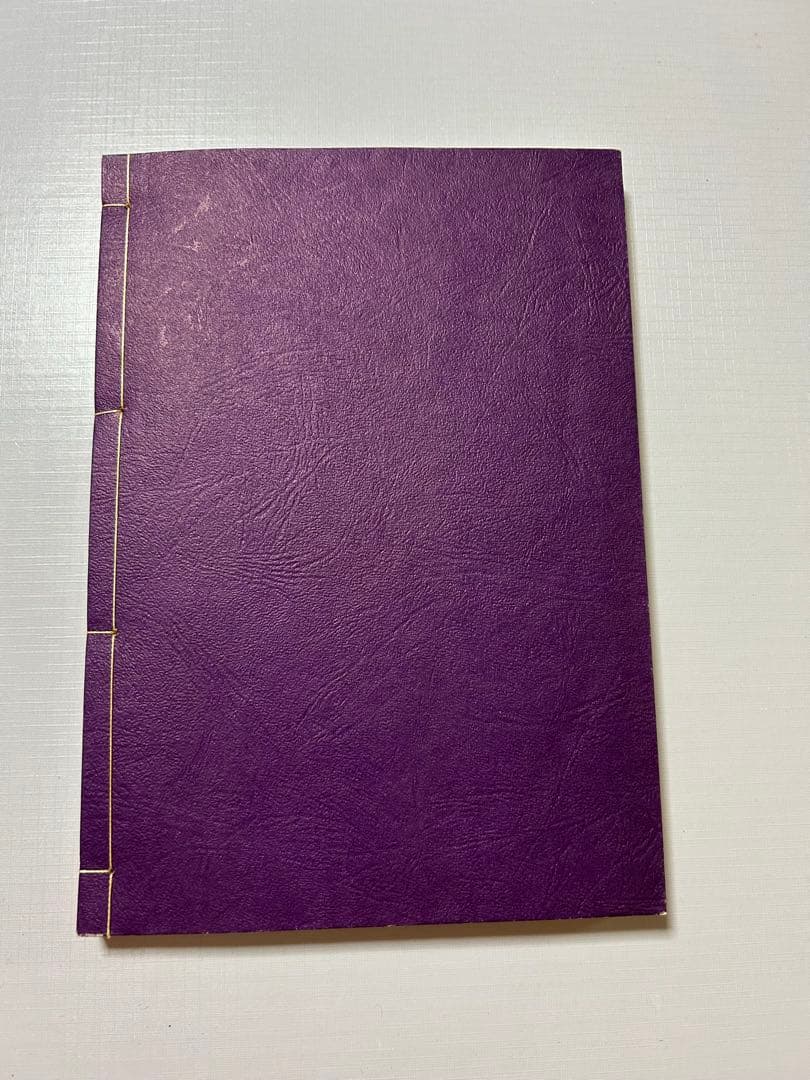 天照皇大御神司命神 岩長姫命神示録