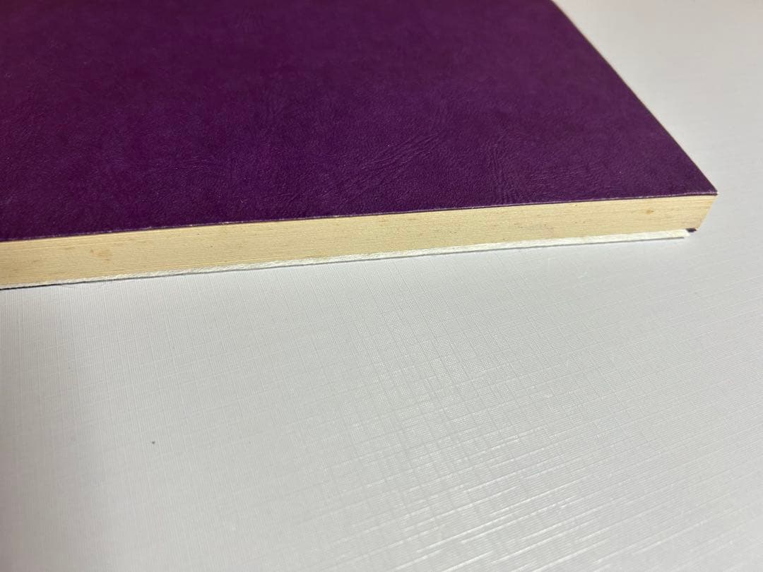 天照皇大御神司命神 岩長姫命神示録