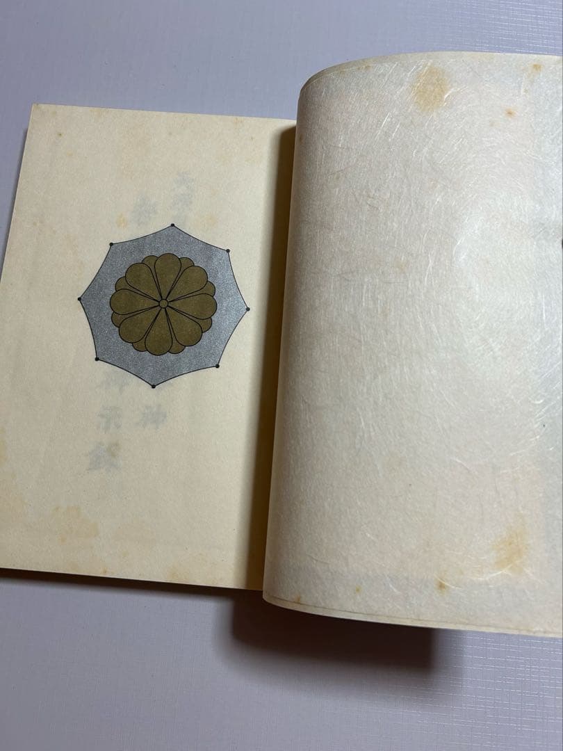 天照皇大御神司命神 岩長姫命神示録