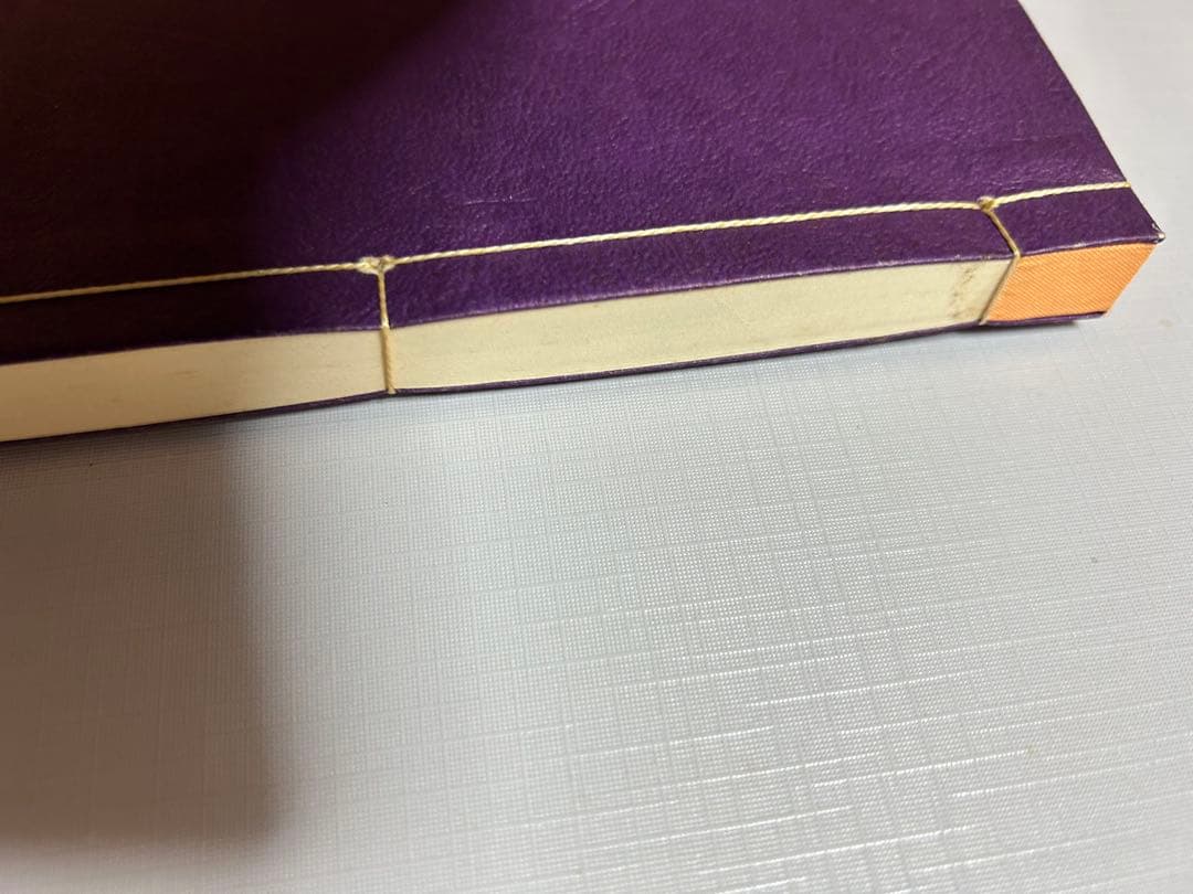 天照皇大御神司命神 岩長姫命神示録