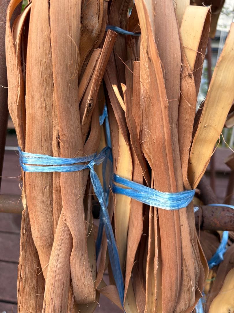 岩手県産山葡萄　樹皮　S級　ラスト１点