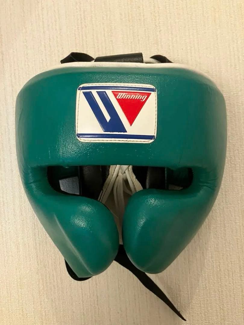 Winning ヘッドギア フルフェイスタイプ グリーン L FG-2900
