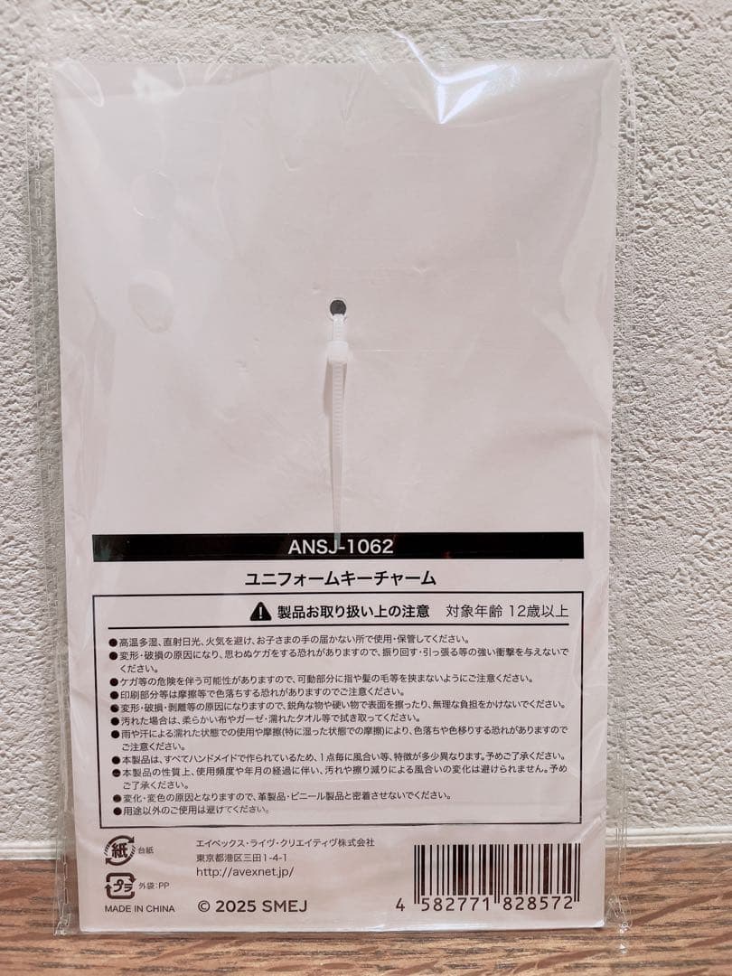 【新品・未開封】SJ SS10 日本公式グッズ ユニフォームキーチャーム