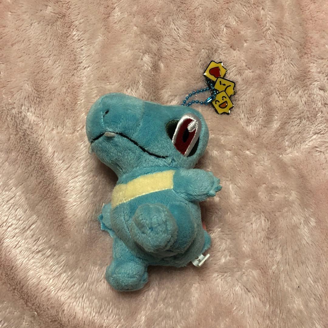 ポケモンセンター　ワニノコ　連れ歩き　マスコット　ぬいぐるみ