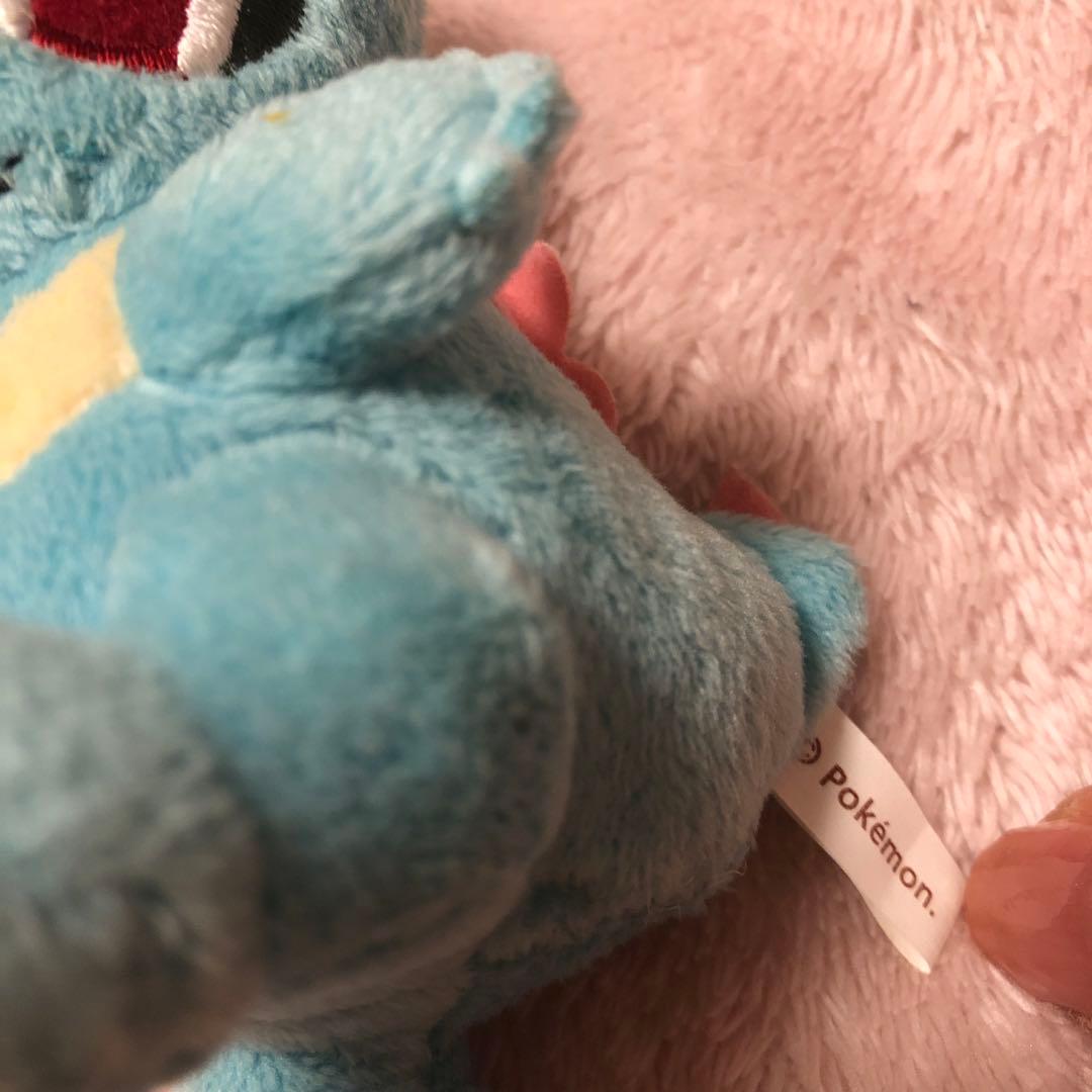 ポケモンセンター　ワニノコ　連れ歩き　マスコット　ぬいぐるみ