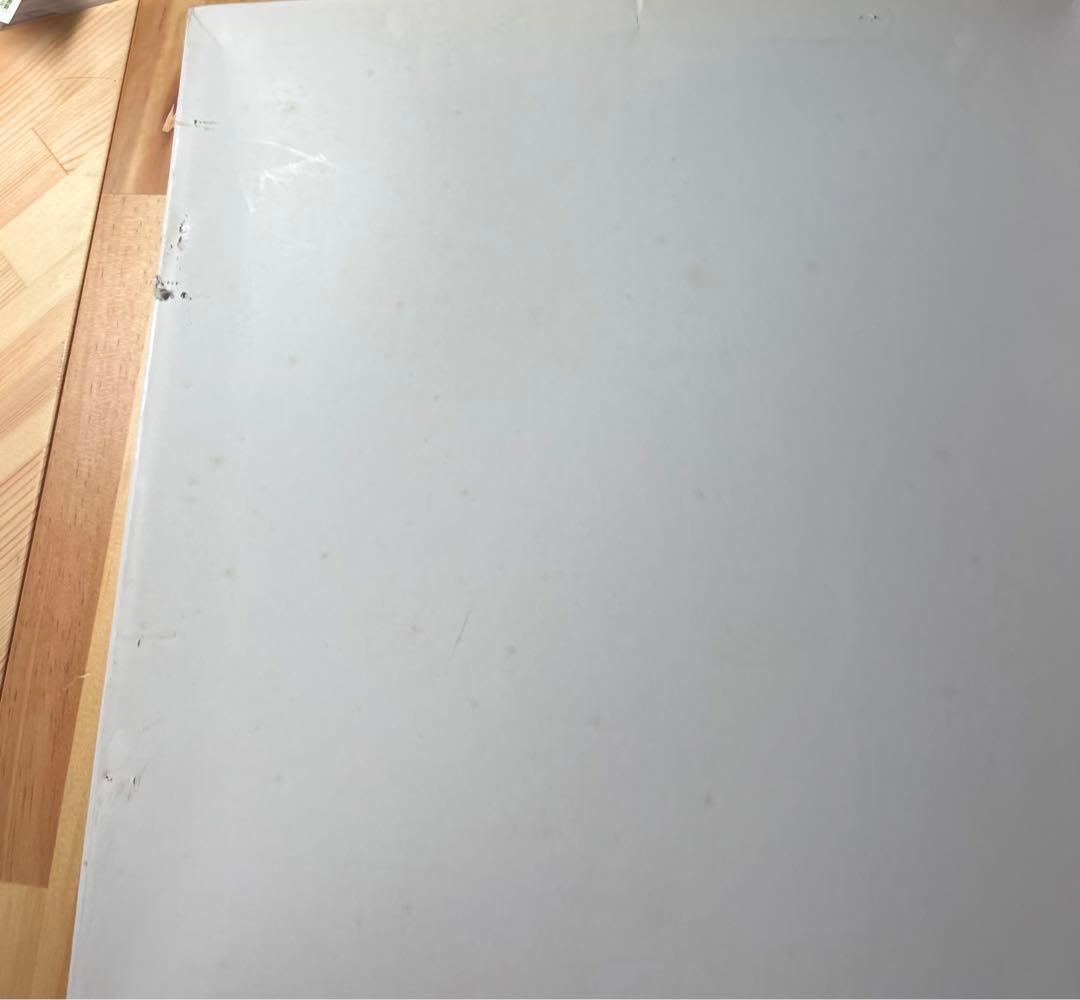 蛇の水彩画　値引き！！