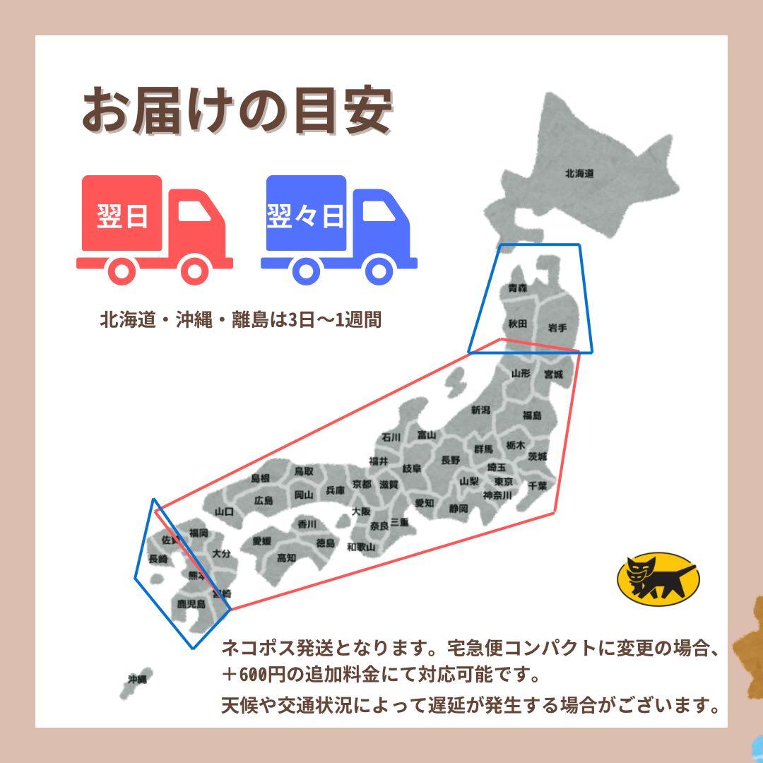 A 100 iPhone 11 Pro Max 256 GB SIMフリー 本体