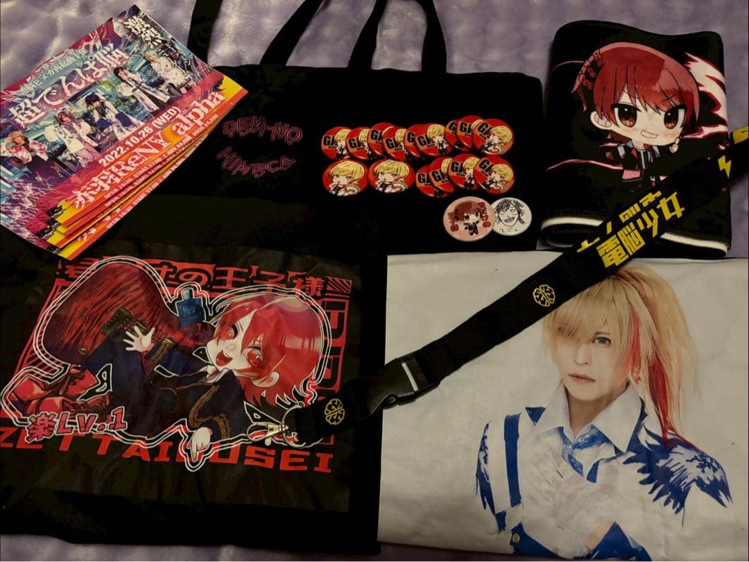 電脳ヒメカ 楽 Tシャツ他まとめ売り