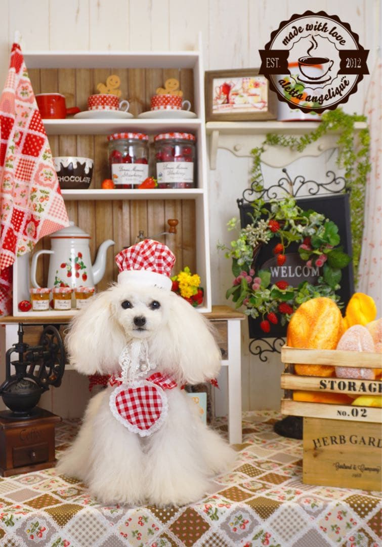 aletta angelique　CAFEエプロン&CAFE コック帽 Red