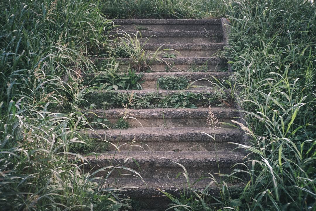 良品！希少トリウムズミクロン最後期！Summicron 50mm F2