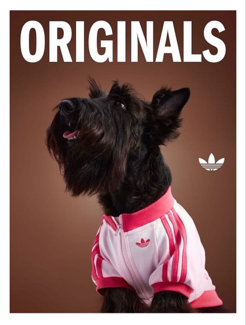 adidas ピンク 犬服 猫服　中国限定　ジップアップウェア　Sサイズ