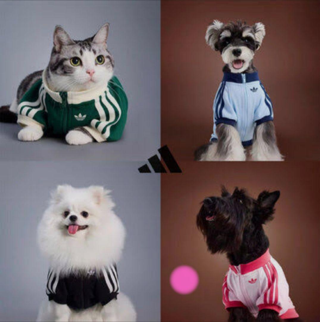 adidas ピンク 犬服 猫服　中国限定　ジップアップウェア　Sサイズ