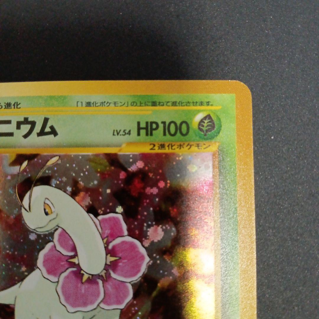 メガニウム　イントロパック★neo(チコリータデッキ：拡張カード