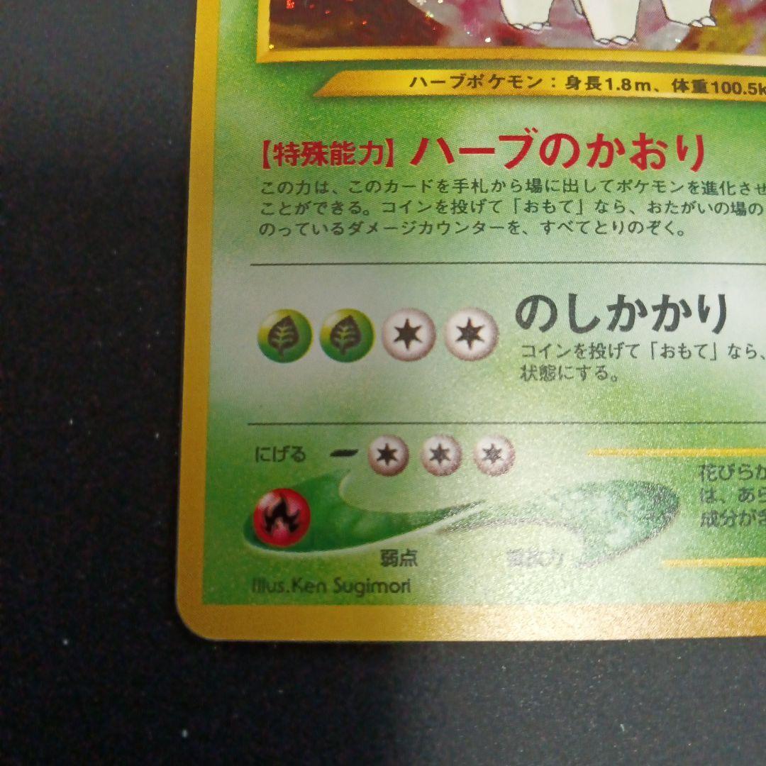 メガニウム　イントロパック★neo(チコリータデッキ：拡張カード