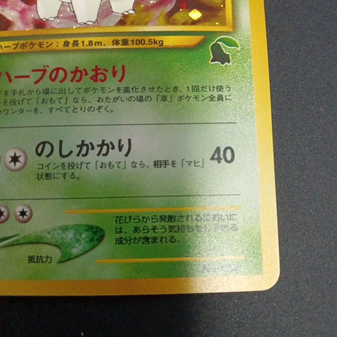 メガニウム　イントロパック★neo(チコリータデッキ：拡張カード