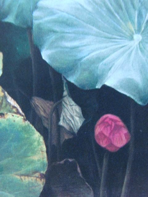 塩崎敬子、【蓮蔭’99】、希少な額装用画集より、新品額装付