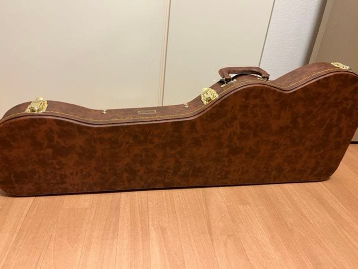 ギター Fender classic POODLE CASE