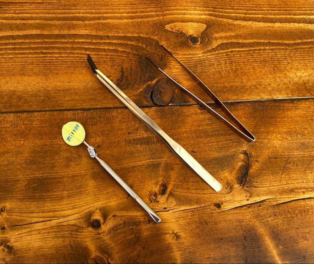 クワガタ採集セット　オリジナル掻き出し棒　デジタルノギス　懐中電灯　採集ケース