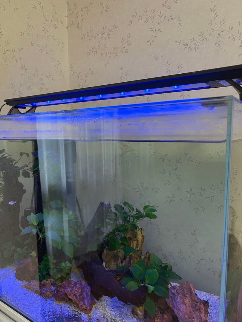 ムービースターGEX aquarista 水槽用ライト