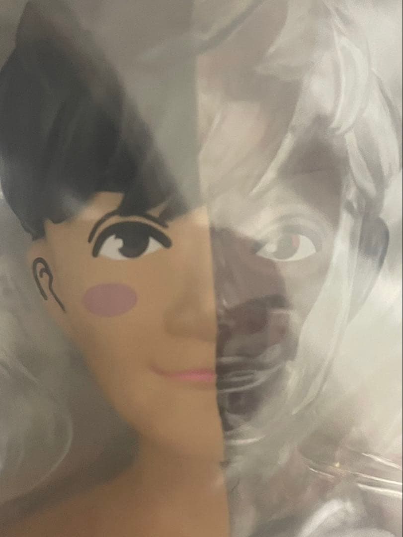 ポルノグラフィティ 人体模型 PORNOGRAFFITTI