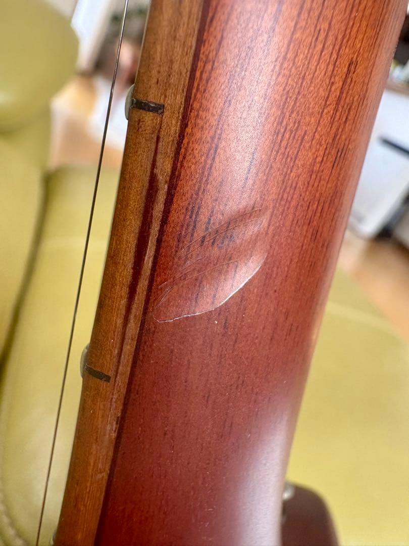 【希少】ESP Char 監修BambooInn-CE バンブーイン エレアコ