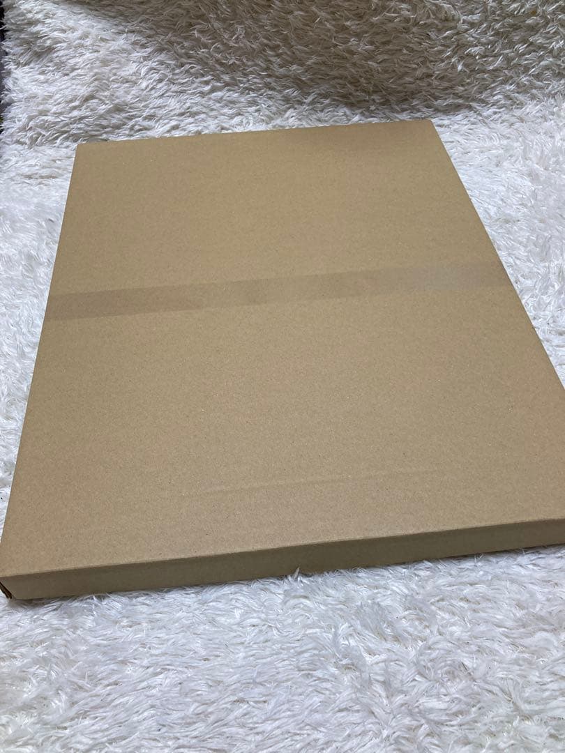 時々ボソッとロシア語でデレる隣のアーリャさん　メモリアルアート 新品