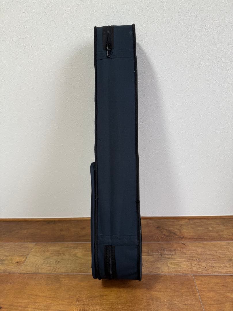 【美品】 Carlo giordano バイオリン VS-0 4/4