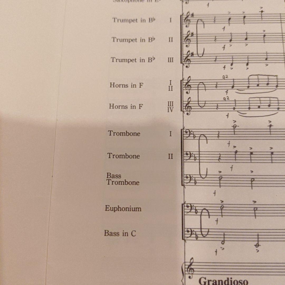 【絶版】ユーミンブラス　守ってあげたい