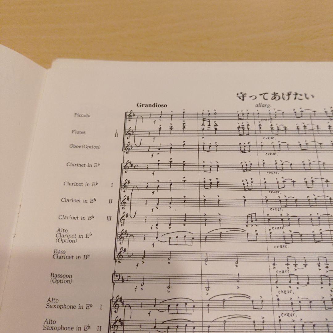 【絶版】ユーミンブラス　守ってあげたい