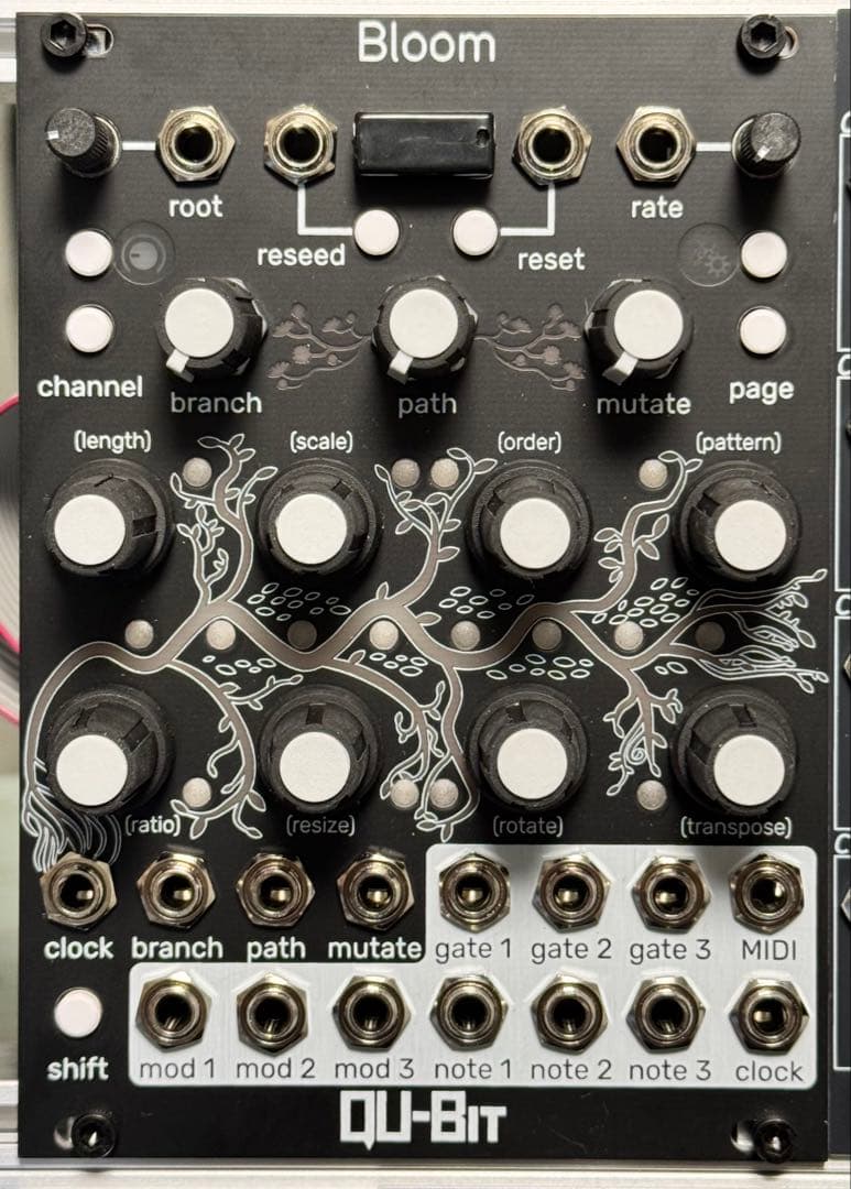 QU-Bit Bloom モジュラーシンセサイザー