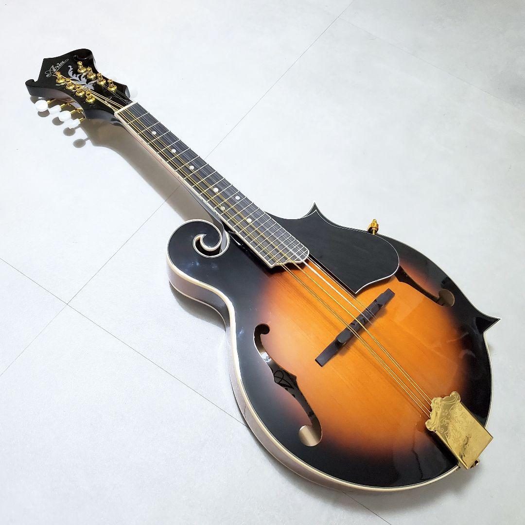 【極美品✨️】ARIA AM-40 フラットマンドリン ハードケース付き