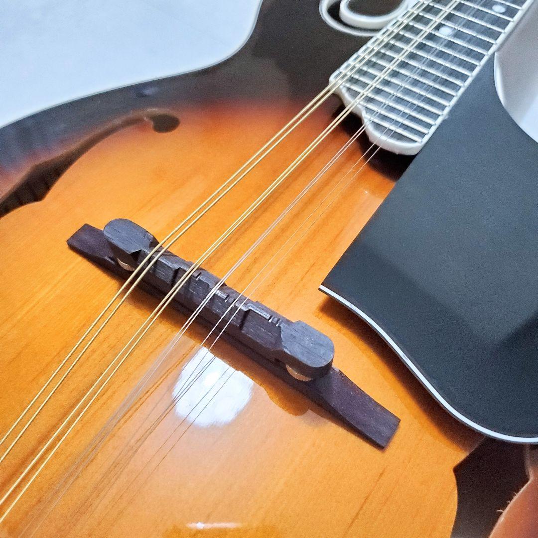 【極美品✨️】ARIA AM-40 フラットマンドリン ハードケース付き