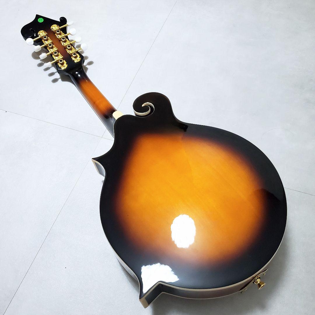 【極美品✨️】ARIA AM-40 フラットマンドリン ハードケース付き