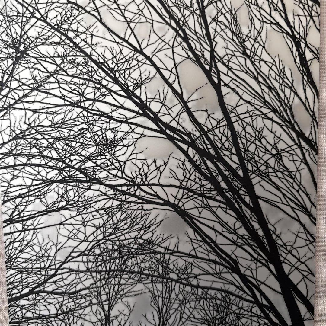 原画【富岡惣一郎】 早春・梢 けやき林 八海山　白の世界　文化村